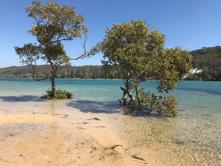 Wooli Public School creek